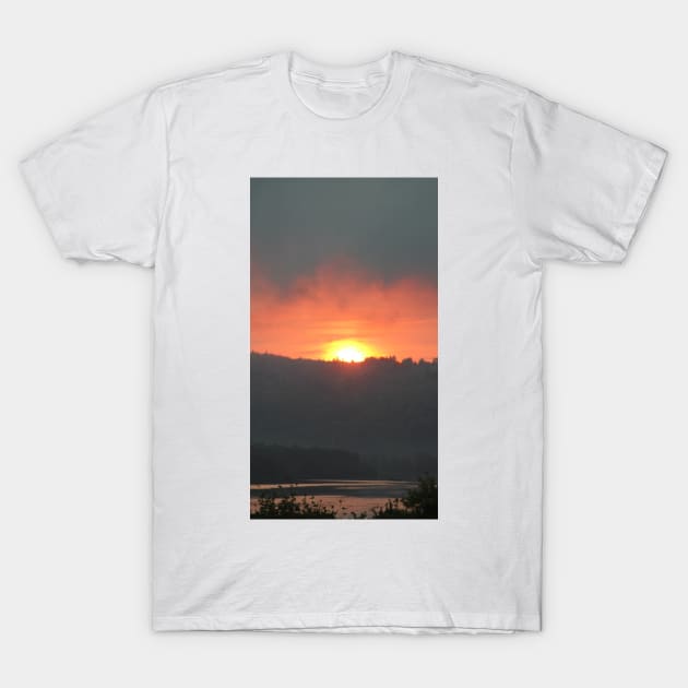 golden columbia river sunrise 2 T-Shirt by DlmtleArt